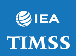 Výsledky mezinárodního šetření TIMSS